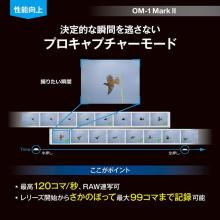 OM SYSTEM mirrorless interchangeable-lens camera 