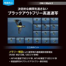 OM SYSTEM mirrorless interchangeable-lens camera 