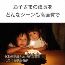 Sony Mirrorless Camera 