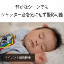 Sony Mirrorless Camera 