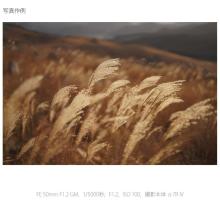 Sony FE 50mm F1.2 GM Lens for E-mount (Full-frame mirrorless compatible) SEL50F12GM