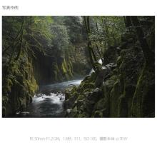 Sony FE 50mm F1.2 GM Lens for E-mount (Full-frame mirrorless compatible) SEL50F12GM