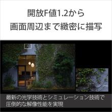 Sony FE 50mm F1.2 GM Lens for E-mount (Full-frame mirrorless compatible) SEL50F12GM