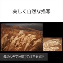 Sony FE 50mm F1.2 GM Lens for E-mount (Full-frame mirrorless compatible) SEL50F12GM