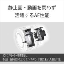 Sony FE 50mm F1.2 GM Lens for E-mount (Full-frame mirrorless compatible) SEL50F12GM