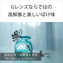 Sony E 15mm F1.4 G Lens for E-Mount (APS-C Mirrorless Cameras) SEL15F14G