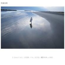 Sony E 15mm F1.4 G Lens for E-Mount (APS-C Mirrorless Cameras) SEL15F14G