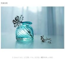 Sony E 15mm F1.4 G Lens for E-Mount (APS-C Mirrorless Cameras) SEL15F14G