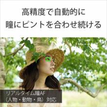 Sony ILCE-7M4K Zoom Lens Kit for the α7IV Full-Frame Mirrorless Camera