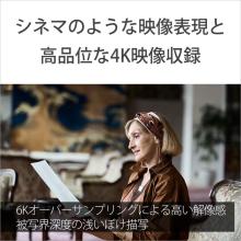 Sony Professional Camcorder 