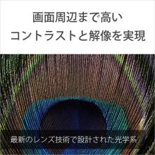 Sony FE 100mm F2.8 Macro GM OSS E-mount lens (compatible with full-frame mirrorless cameras) SEL100M28GM