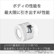 Sony FE 28-70mm F3.5-5.6 OSS II SEL28702