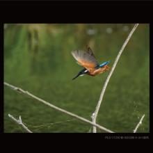 Panasonic DC-G9M2 mirrorless single-lens camera 