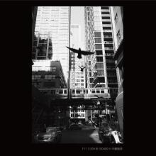 Panasonic DC-G9M2 mirrorless single-lens camera 