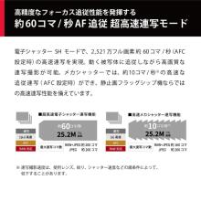 Panasonic DC-G9M2 mirrorless single-lens camera 