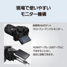 Panasonic mirrorless single-lens camera 