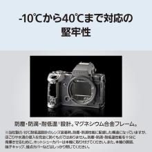 Panasonic mirrorless single-lens camera 