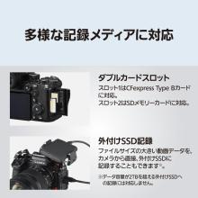 Panasonic mirrorless single-lens camera 