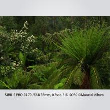 Panasonic mirrorless single-lens camera 