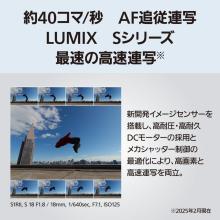 Panasonic mirrorless single-lens camera 