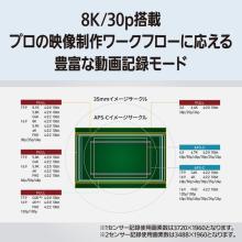 Panasonic mirrorless single-lens camera 