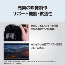 Panasonic mirrorless single-lens camera 