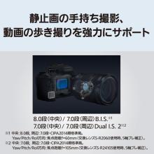 Panasonic mirrorless single-lens camera 