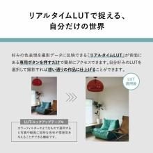 Panasonic Full-Frame Mirrorless Camera 