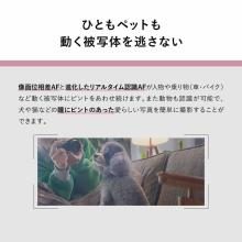 Panasonic Full-Frame Mirrorless Camera 