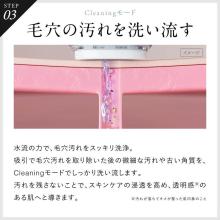 NIPLUX Multi Skin Cleaner NP-MSC25BK Pore Cleanser