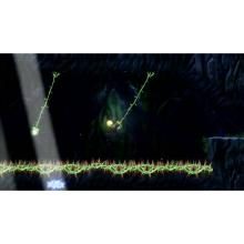 Bandai Namco Entertainment (with bonus) (PS5) Shadow Labyrinth