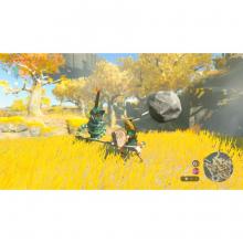 (Switch Package Soft) The Legend of Zelda: Tears of the Kingdom Standard Edition