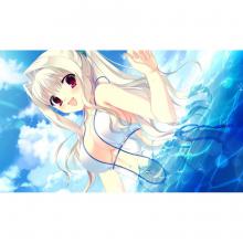 (Switch Package Soft)D.C.III P.S. ~Da Capo III Plus Story~ Regular version