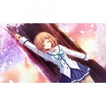 (Switch Package Soft)D.C.III P.S. ~Da Capo III Plus Story~ Regular version