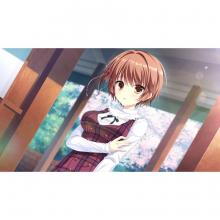(Switch Package Soft)D.C.III P.S. ~Da Capo III Plus Story~ Regular version