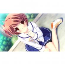 (Switch Package Soft)D.C.III P.S. ~Da Capo III Plus Story~ Regular version
