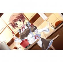 (Switch Package Soft)D.C.III P.S. ~Da Capo III Plus Story~ Regular version