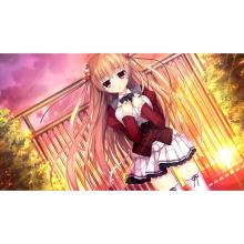 Entergram (Switch) Shirokoi Sakura*gram Limited Edition