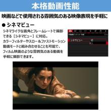 Canon EOS R50 V Mirrorless Camera Double Zoom Kit (EOSR50V-WZK)