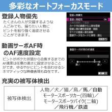 Canon EOS R50 V Mirrorless Camera Double Zoom Kit (EOSR50V-WZK)