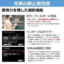 Canon EOS R50 V Mirrorless Camera Double Zoom Kit (EOSR50V-WZK)