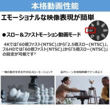 Canon EOS R50 V Mirrorless Camera Double Zoom Kit (EOSR50V-WZK)