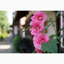 Tamron 18-300mm F/3.5-6.3 Di III-A VC VXD (Model: B061) *E-mount lens (for APS-C size mirrorless cameras) TA18-300DI3 Sony-B061S