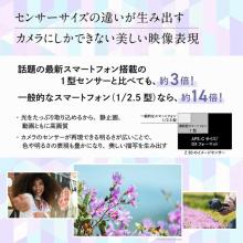 Nikon mirrorless single-lens camera 