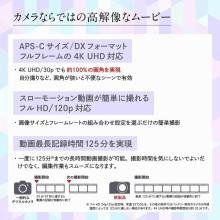 Nikon mirrorless single-lens camera 