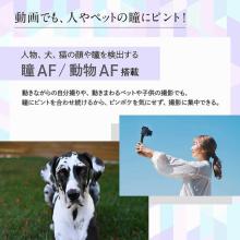 Nikon mirrorless single-lens camera 