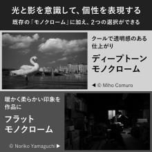 Nikon mirrorless single-lens camera 