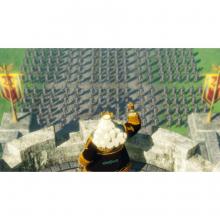 (Switch Package Soft)Zelda Musou: Apocalypse of Calamity