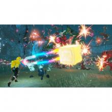 (Switch Package Soft)Zelda Musou: Apocalypse of Calamity