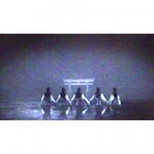 (Switch Package Soft) Zero ~Wet Crow Shrine Maiden~